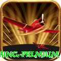 69b Gaming Premium