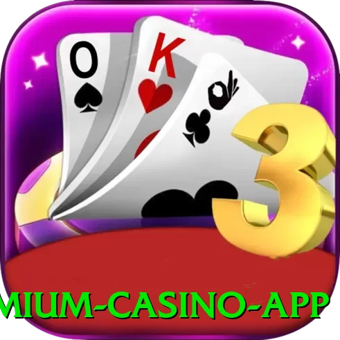 80a Premium Casino App - 💎 apk