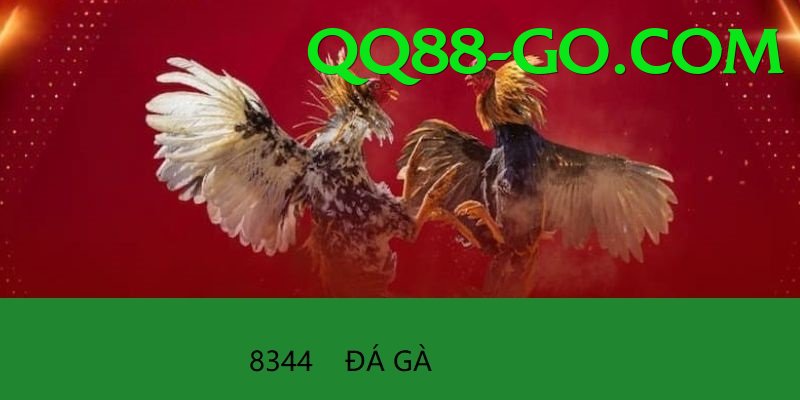 Cách Đọc Kèo Đá Gà - Guild