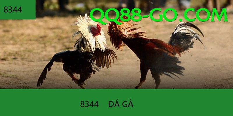 Đá Gà Trực Tiếp - qq88 - Game RPG